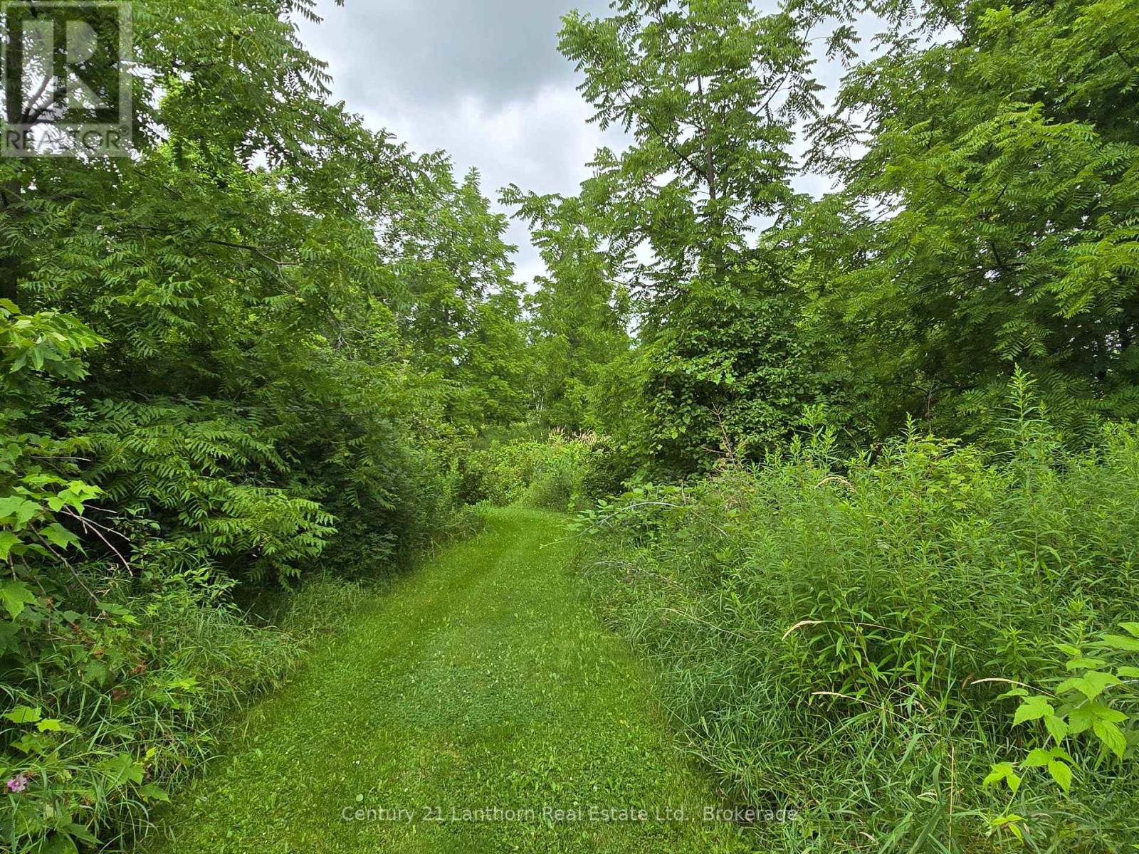 448 HARRINGTON ROAD - 35