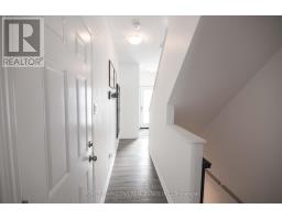 540 RECOLTE — photo 4
