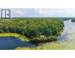 Lt 14 Hungry Bay Road, Georgian Bay, ON L0K1S0 Photo 13
