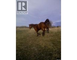 312 Golling Street, Lemberg, SK S0A2B0 Photo 22