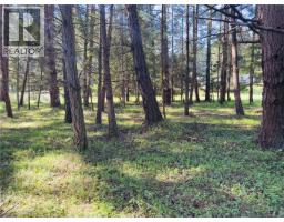 Lot 10 Driftwood Dr, Mudge Island, BC V0R1X6 Photo 9