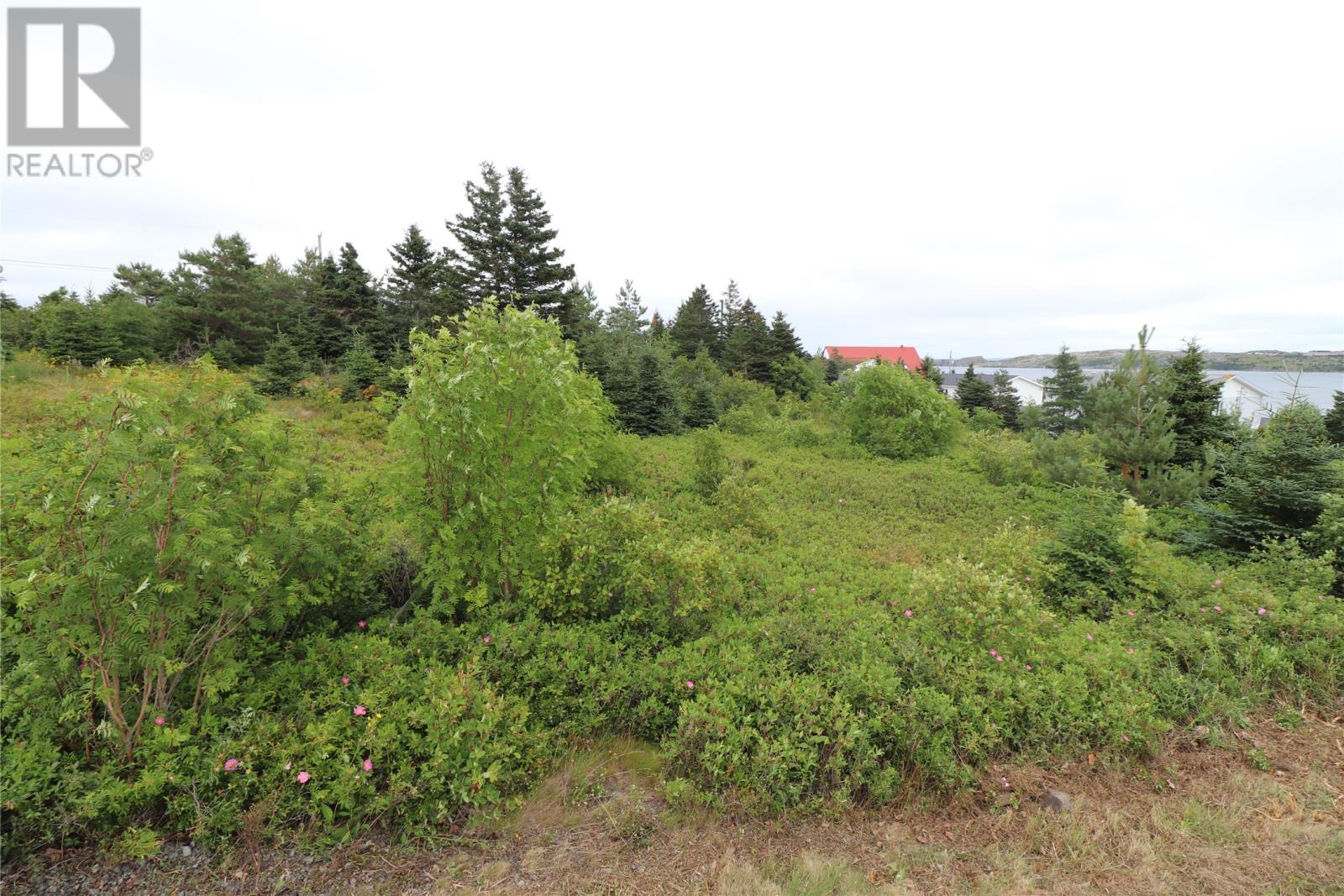 16 Hardings Lane, Bay Roberts — photo 2