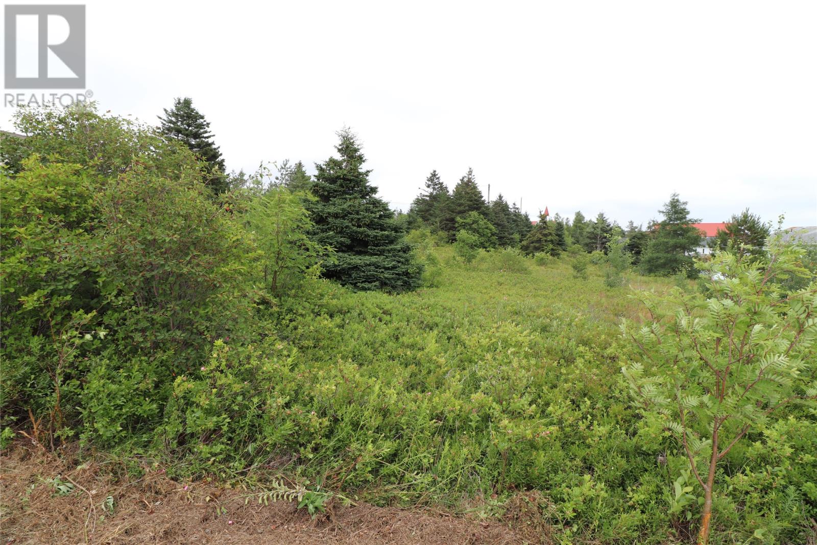 16 Hardings Lane, Bay Roberts — photo 3