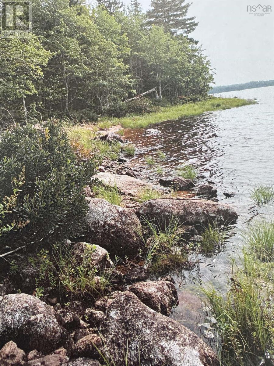 8A Duck Pond Road, Black River Lake — photo 2
