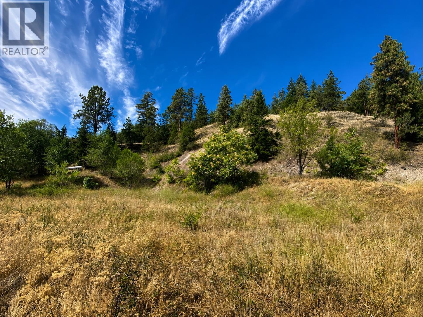  528 Snowsell Street North, Kelowna