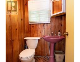 35 Alpine Street, Kawartha Lakes, ON K9V4R1 Photo 32
