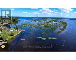 35 Alpine Street, Kawartha Lakes, ON K9V4R1 Photo 33