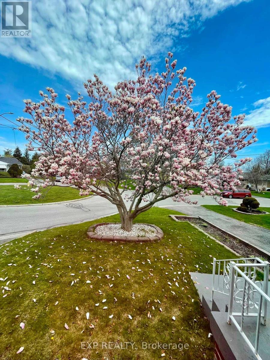 1202 SUN VALLEY COURT - 45