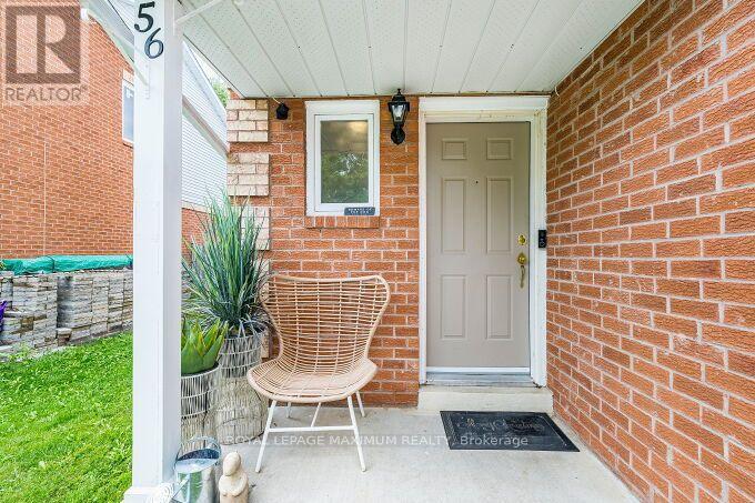 56 POTTER CRESCENT - 3