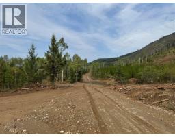 Dl 10766 Giant Mine Road, Spillimacheen, BC V0A1P0 Photo 28