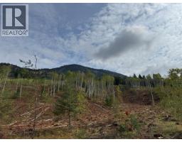 Dl 10766 Giant Mine Road, Spillimacheen, BC V0A1P0 Photo 19
