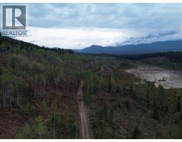 Dl 10766 Giant Mine Road, Spillimacheen, BC V0A1P0 Photo 16