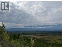 Dl 10766 Giant Mine Road, Spillimacheen, BC V0A1P0 Photo 18