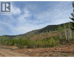 Dl 10766 Giant Mine Road, Spillimacheen, BC V0A1P0 Photo 20