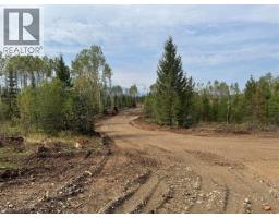Dl 10766 Giant Mine Road, Spillimacheen, BC V0A1P0 Photo 22