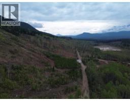 Dl 10766 Giant Mine Road, Spillimacheen, BC V0A1P0 Photo 15