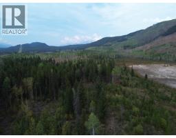 Dl 10766 Giant Mine Road, Spillimacheen, BC V0A1P0 Photo 24