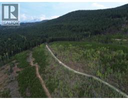 Dl 10766 Giant Mine Road, Spillimacheen, BC V0A1P0 Photo 9