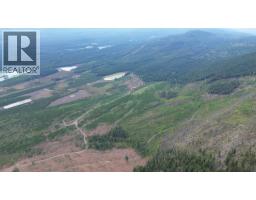 Dl 10766 Giant Mine Road, Spillimacheen, BC V0A1P0 Photo 10