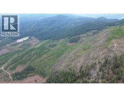 Dl 10766 Giant Mine Road, Spillimacheen, BC V0A1P0 Photo 12