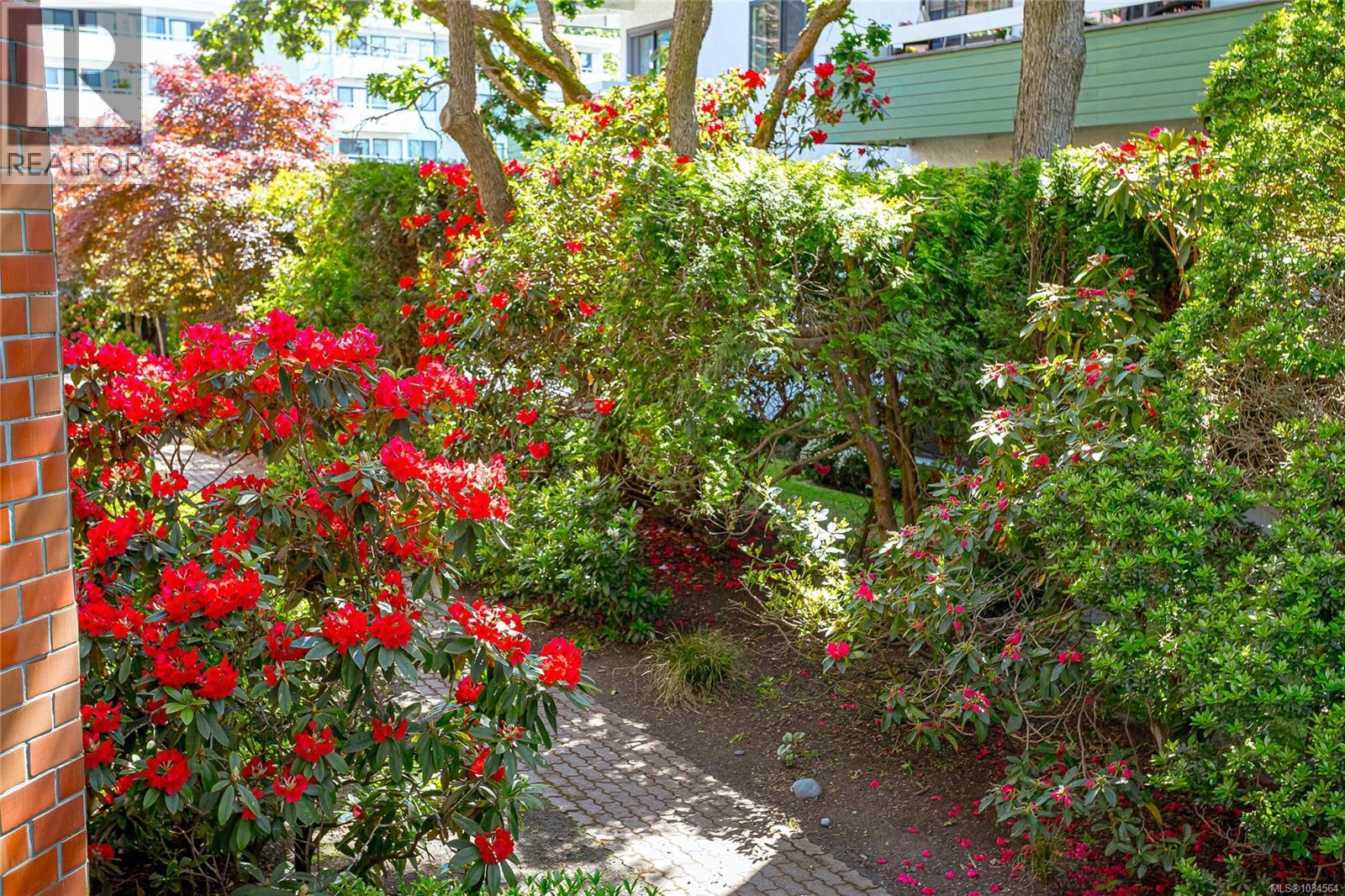 #204 2119 Oak Bay Ave - 34