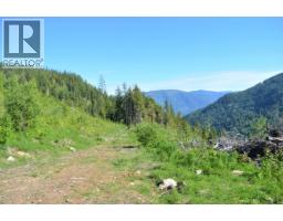 Lot 2 Highway 6, Nelson, BC V1L5J5 Photo 13