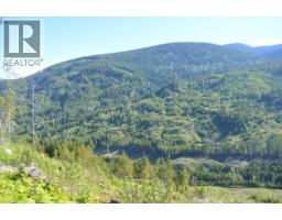 Lot 2 Highway 6, Nelson, BC V1L5J5 Photo 15