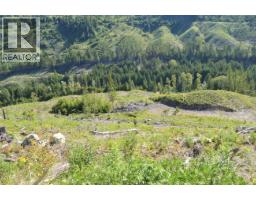 Lot 2 Highway 6, Nelson, BC V1L5J5 Photo 19