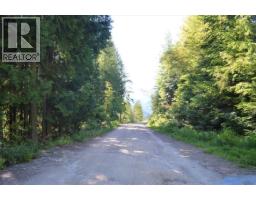 Lot 2 Highway 6, Nelson, BC V1L5J5 Photo 16