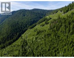 Lot 2 Highway 6, Nelson, BC V1L5J5 Photo 7