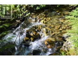 Lot 2 Highway 6, Nelson, BC V1L5J5 Photo 20