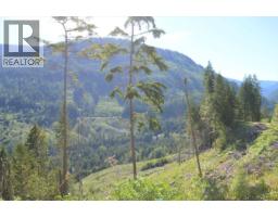 Lot 2 Highway 6, Nelson, BC V1L5J5 Photo 17