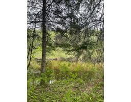 1168 Ch. Picanoc, Otter Lake, QC J0X2P0 Photo 6