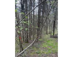1168 Ch. Picanoc, Otter Lake, QC J0X2P0 Photo 7