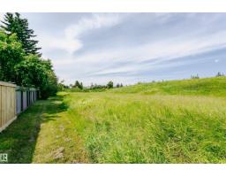 18316 78 Av Nw, Edmonton, AB T5T2A9 Photo 54