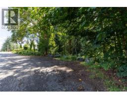 Lt B Allen Ave, Cumberland, BC V0R1S0 Photo 13