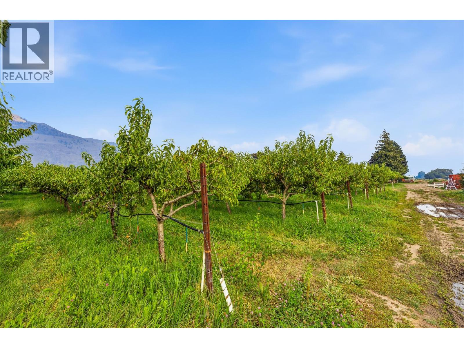 2249 Agar Road - 82