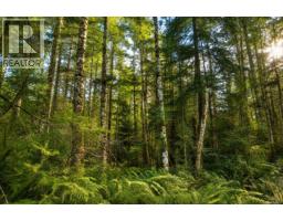 Lot 4 Harbourbrook Rd, Quadra Island, BC V0P1N0 Photo 7