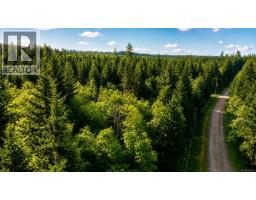 Lot 4 Harbourbrook Rd, Quadra Island, BC V0P1N0 Photo 12