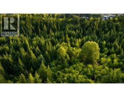 Lot 4 Harbourbrook Rd, Quadra Island, BC V0P1N0 Photo 9
