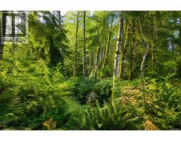Lot 4 Harbourbrook Rd, Quadra Island, BC V0P1N0 Photo 6