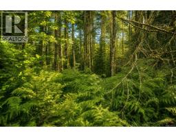 Lot 4 Harbourbrook Rd, Quadra Island, BC V0P1N0 Photo 8