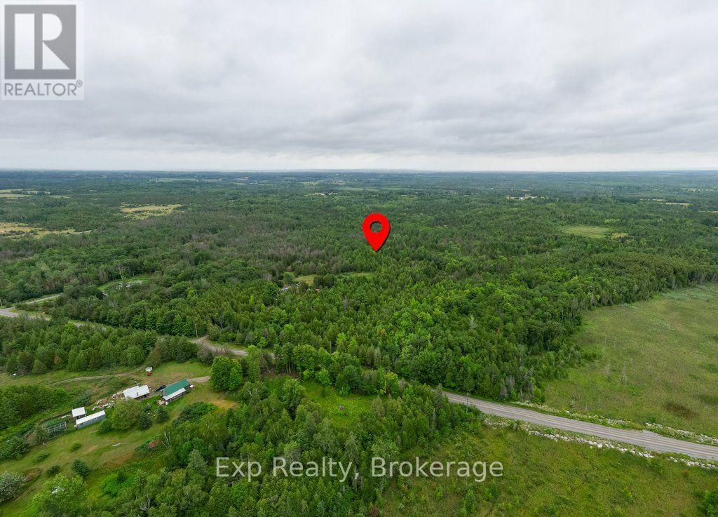 2822 SHANNON ROAD - 42
