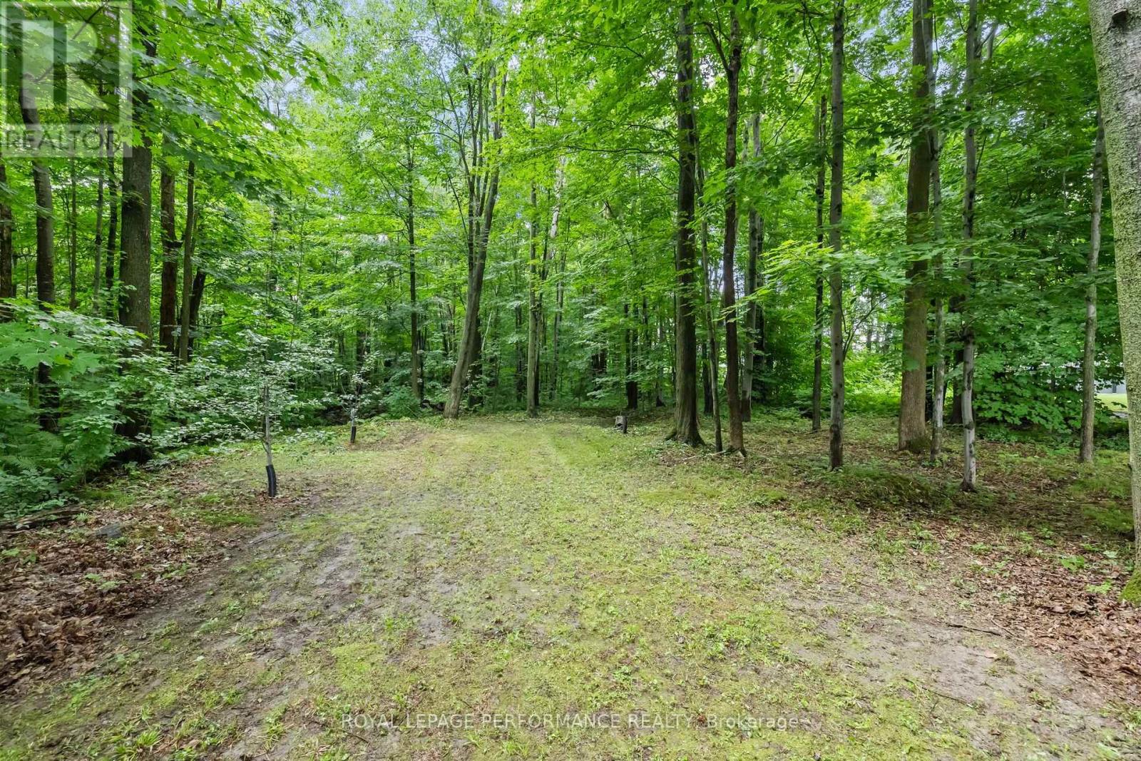 115 Larose Lane