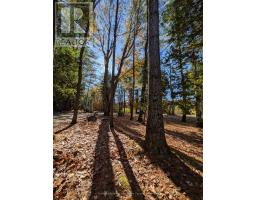 1063 Whiteside Road, Muskoka Lakes, ON P0B1J0 Photo 29