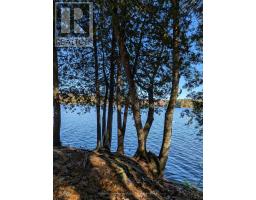 1063 Whiteside Road, Muskoka Lakes, ON P0B1J0 Photo 38