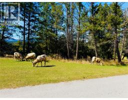 200 Bighorn Boulevard Unit# 233, Radium Hot Springs, BC V0A1M0 Photo 37