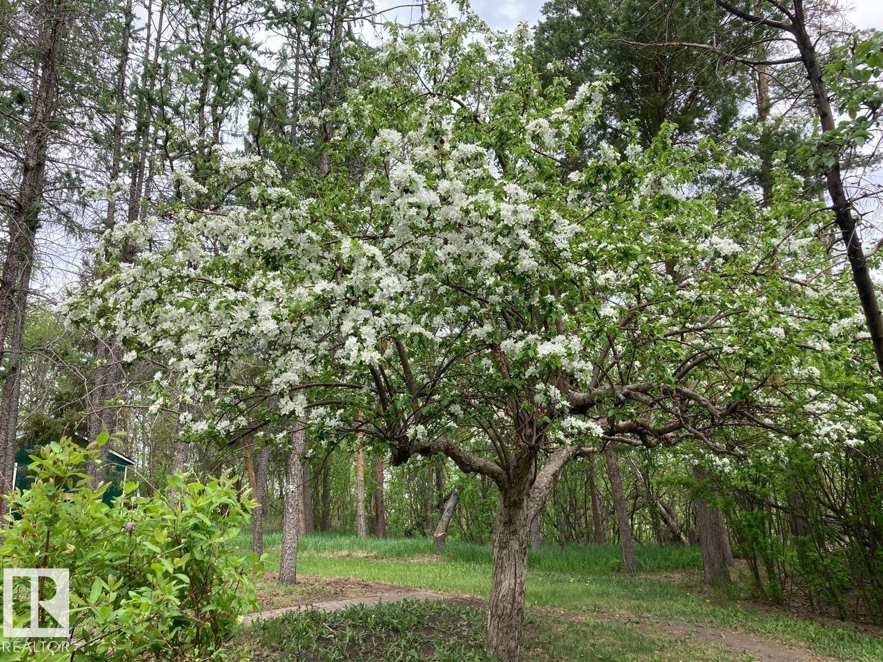 54046 RGE ROAD 213 - Image 38