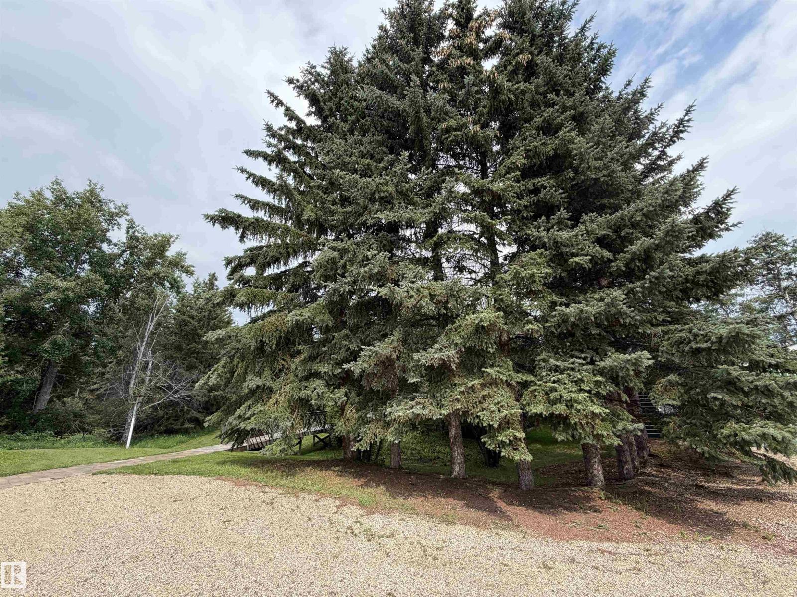 54046 RGE ROAD 213 - 39