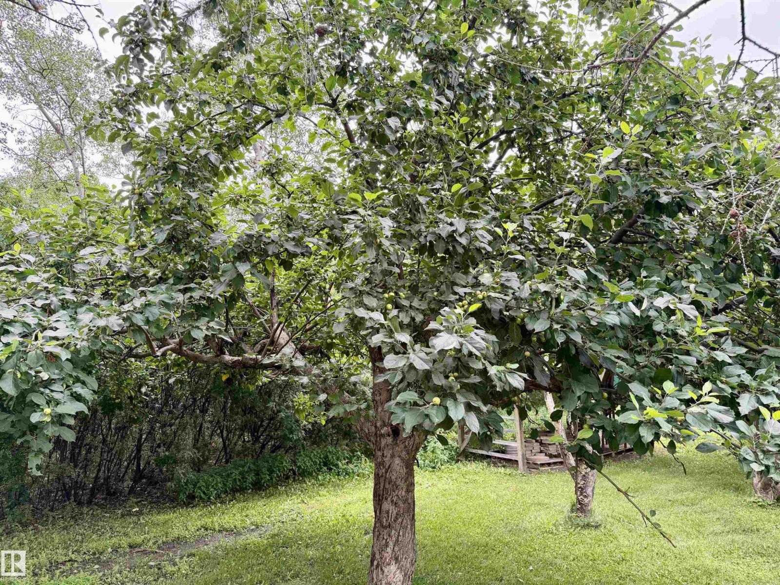 54046 RGE ROAD 213 - Image 47